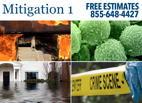 Mitigation 1 Free Estimates